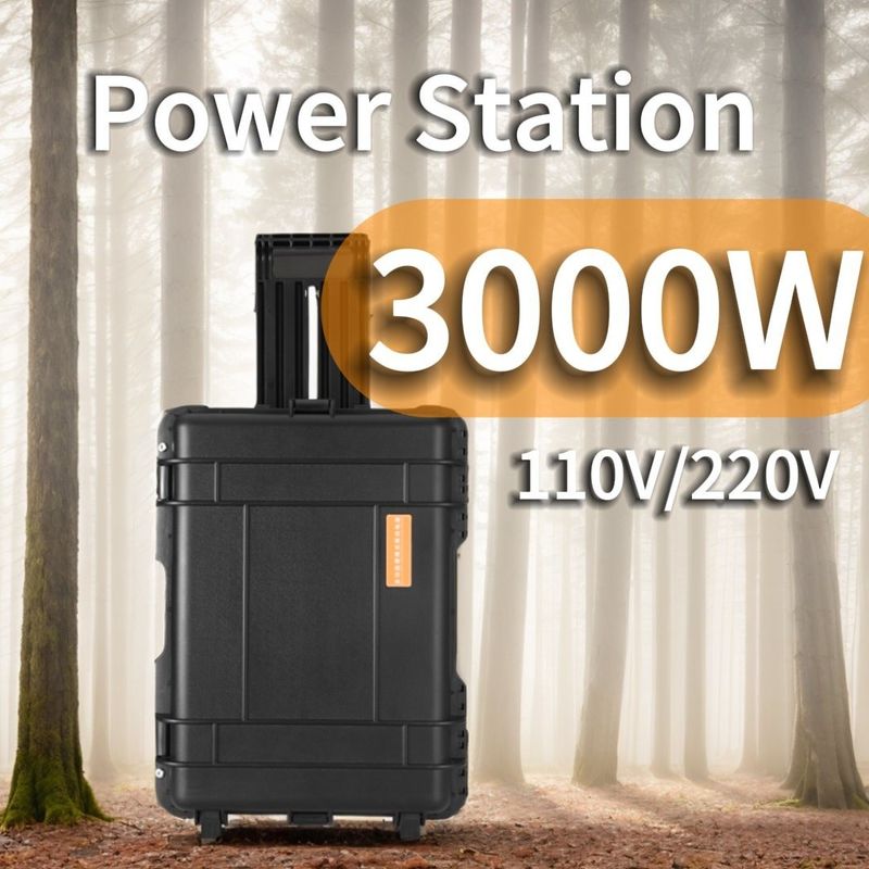 3kw Power Banks Ładowarka Wbudowana stacja zasilania o czystych falach sinusów na zamówienie