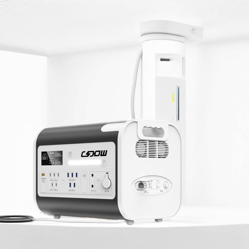 LiFePO4 Bateria typu 220V Wyjście Przenośna Elektrownia do pikniku i awaryjnego
